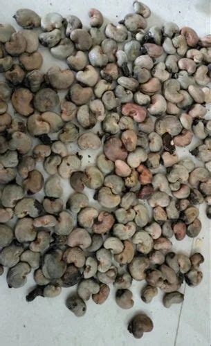 Whole Benin LBS 48 Raw Cashew Nuts At Rs 110 Kg In Thoothukudi ID