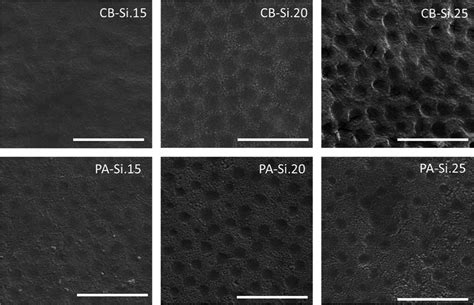 Healable Supracolloidal Nanocomposite Water Borne Coatings Acs