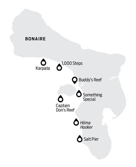 5 Tips for Shore Diving in Bonaire | Scuba Diving