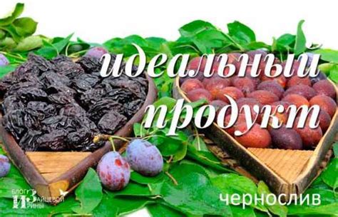 Свежий чернослив польза и вред – Свойства чернослива – его польза и ...