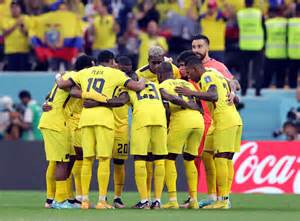 7 ideas de Mundiales mundial de futbol, copa mundial de futbol, copa