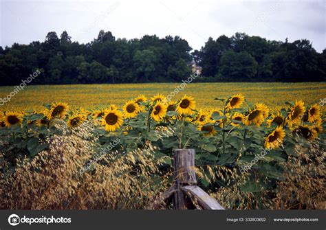 Picture Available 4000 Dpi Dmax Tifformat Stock Photo by ...