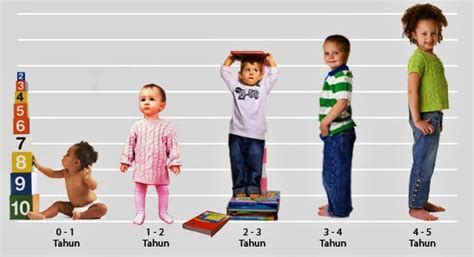 Tahap Tahap Perkembangan Kognitif Anak Menurut Piaget Halaman 1