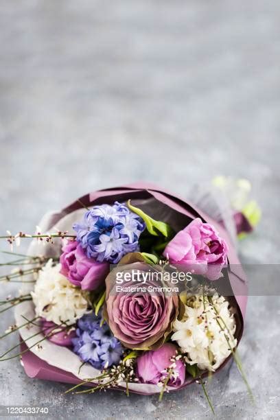 55 Hyacinth Bucket Stock Photos High Res Pictures And Images Getty