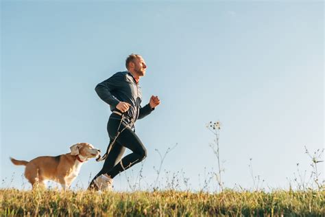 6 Ways To Exercise With Your Dog All Stage Canine Development