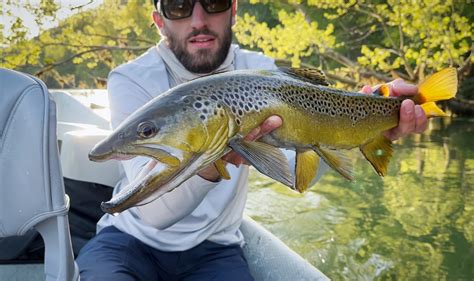 Guided Trips Jack Shirk Fly Fishing
