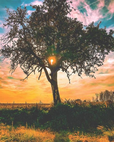 App Ch Nh Nh C P Xu T Th N Ang Hot Trend C Ng Ng M Ng B I Vi T Foody Vn