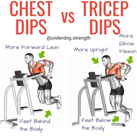 Dips Triceps Vs Chest