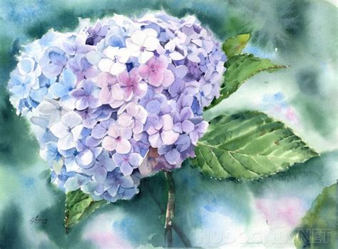 Картина Голубая гортензия. Вьетнам. Размеры: 40x30, Год: 2022, Цена ...