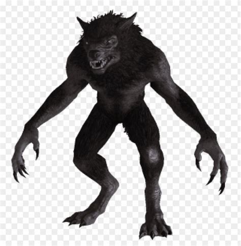 Werewolf From Skyrim PNG Transparent With Clear Background ID 117730