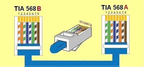 Understanding the Cat 6 B Diagram: 568B Explained - Greater Yellowstone ...