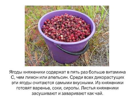 Княженика презентация, доклад
