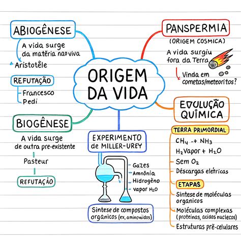 origem da vida explicada  resumida   enem