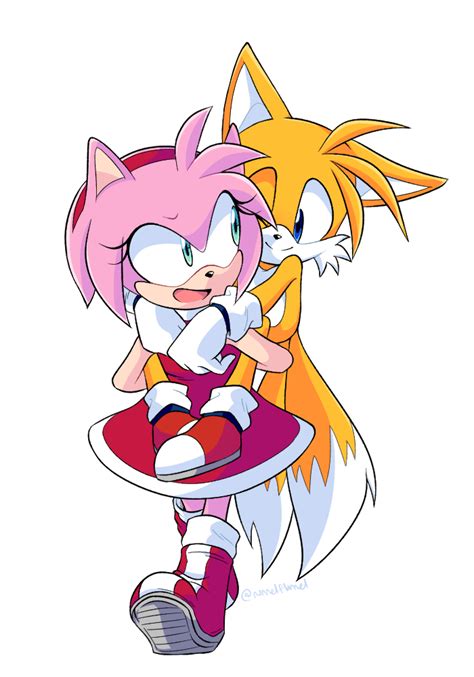 Amy and Tails by NannelFlannel on DeviantArt | Sonic heroes, Sonic fan ...