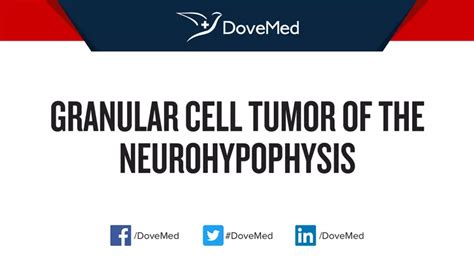 Granular Cell Tumor Of The Neurohypophysis Dovemed