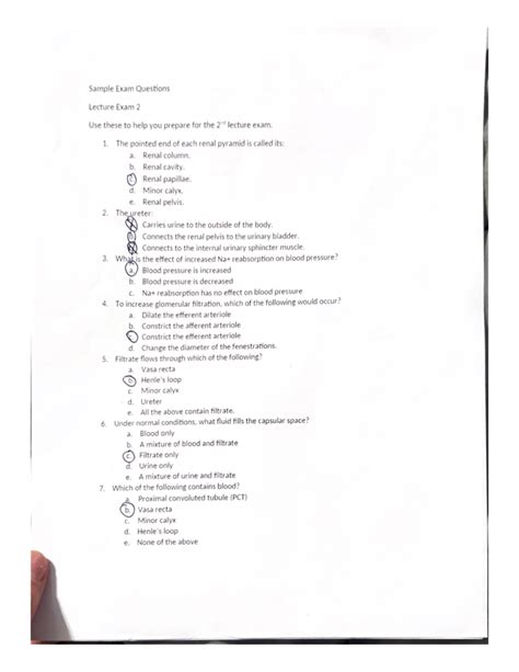 Sample Slo For Anatomy And Physiology 2