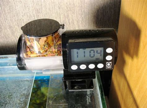 Автоматические кормушки для рыб в аквариуме – достоинства, инструкция