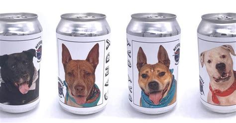 Пивоварня нанесла на этикетки фотографии собак из приюта, чтобы помочь ...