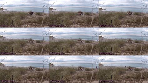 Outdoor Amateur Blowjob Videos XVIDEOS