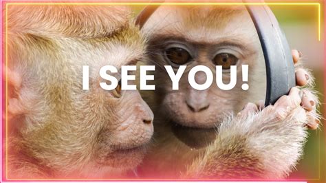 How To Beat Porn Addiction For Good The Entire Process Laid Out