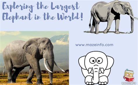 Exploring The Largest Elephant In The World - Maze Info