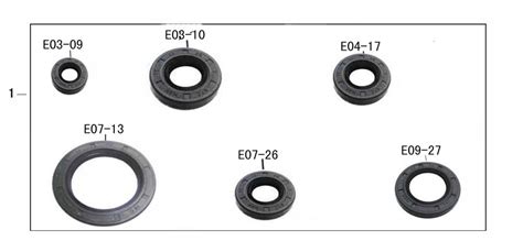 Сальники FML 163-2M