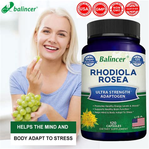 Rhodiola Rosea Supplements Relieve Stress Regulate Mood Focus