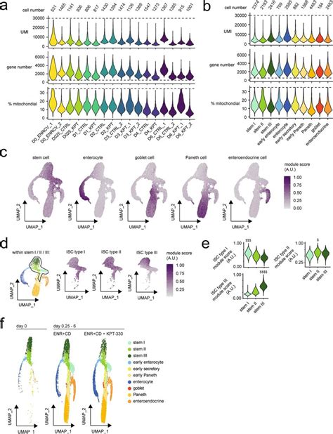 Single Cell Rna Seq Profiling Of Murine Organoid Differentiation With Download Scientific