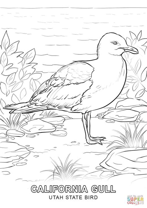 Utah State Bird coloring page | Free Printable Coloring Pages