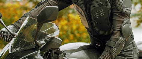 Черепахи и мотогонки. Что общего?