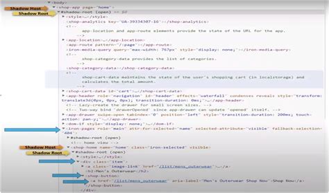 How Can We Find The Xpath For Shadow Element