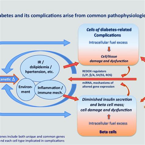 (PDF) A Unified Pathophysiological Construct of Diabetes and its ...