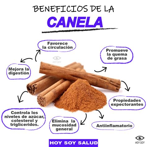 Beneficios De La Canela Beneficios Y CONTRAINDICACIONES HOYSOY NET