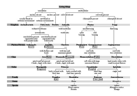 Keys and Classification of The Six Kingdoms | Download Free PDF ...