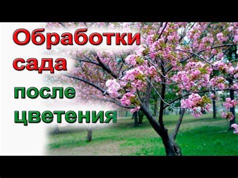 Схема обработки сада после цветения | Сад, Цветение, Уход за садом