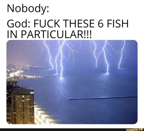 Nobody God FUCK THESE 6 FISH HVPARHCULARMV IFunny
