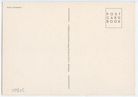 Lot E FREEMAN Vintage Offset Litho Postcard Nude Male Th C