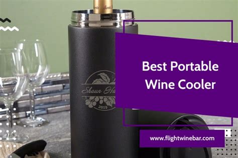 5 Portable Wine Coolers To Keep Your Favorite Beverages Cold The Best