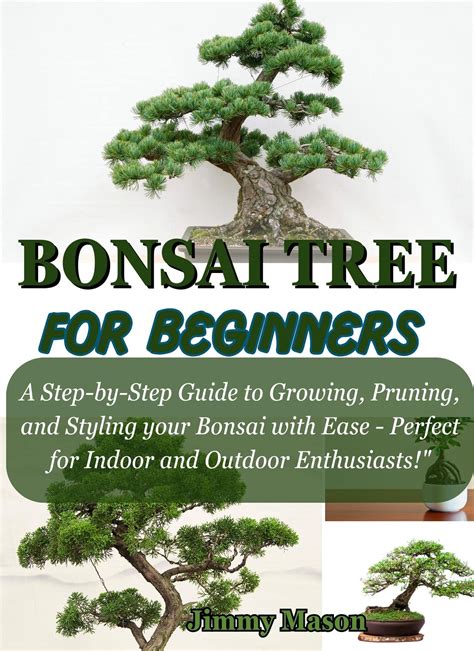 Bonsai Tree For Beginners A Step By Step Guide To Growing Pruning