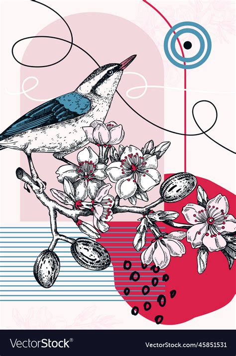 Collage Style Nuthatch Hand Drawn Bird On B Vector Image