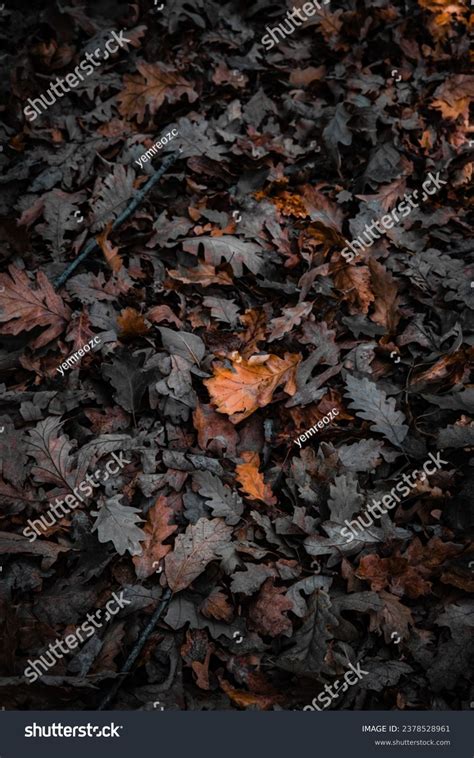 Fading Echoes Symbol Stock Photos 5 Images Shutterstock