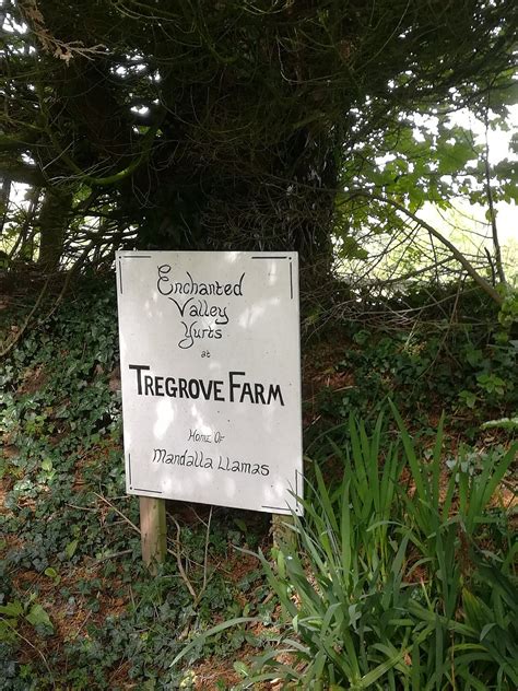 Enchanted Valley Yurts Looe Cornwall Campground Reviews And Photos