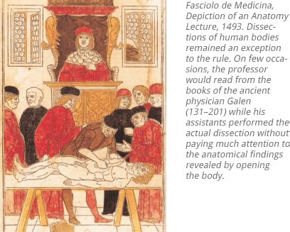 The History of Anatomy - from the beginnings to the 20th century