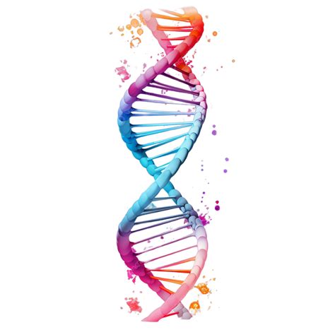 dna double helix png