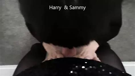 Kasha Porn Videos XHamster