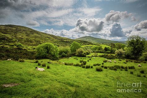 Irish Landscape Photograph by Eva Lechner - Pixels