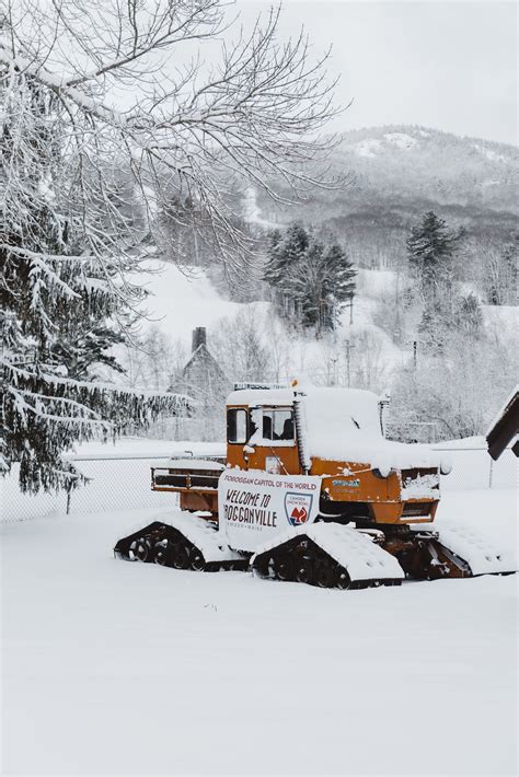 Camden Snow Bowl — Camden Famous