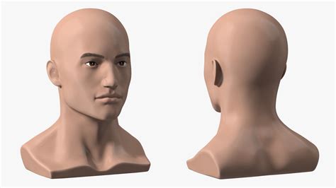 D Nude Plastic Male Mannequin Head TurboSquid