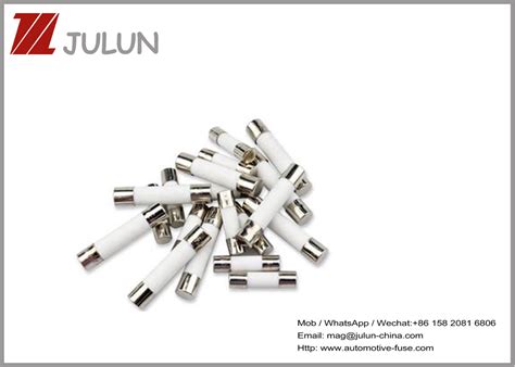 5x20mm Communication 15a 250v Ceramic Fuse For Microwave Ovens