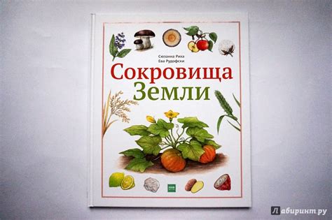 Книга: Сокровища Земли - Сюзанна Риха. Купить книгу, читать рецензии ...